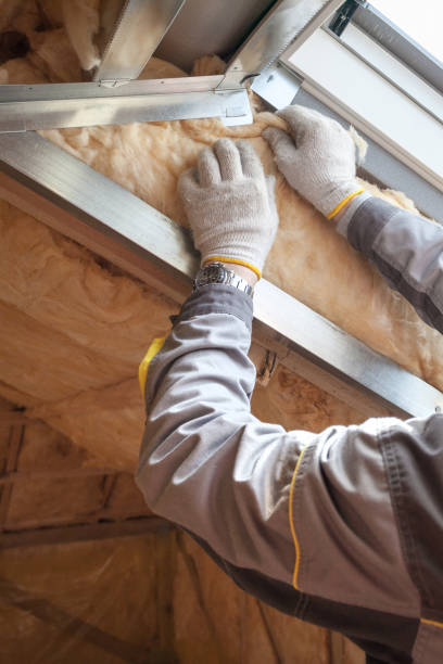 Best Specialty Insulation in Hutchins, TX